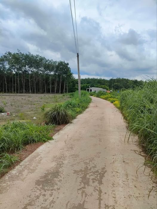 Đất nền Tân Tiến, Đồng Phú 275m² giá thỏa thuận - Đầu tư sinh lời hiệu quả!