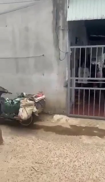 Cho thuê phòng trọ Hẻm 29 Nguyễn Thiếp, Pleiku - Giá chỉ từ 1 triệu/tháng!