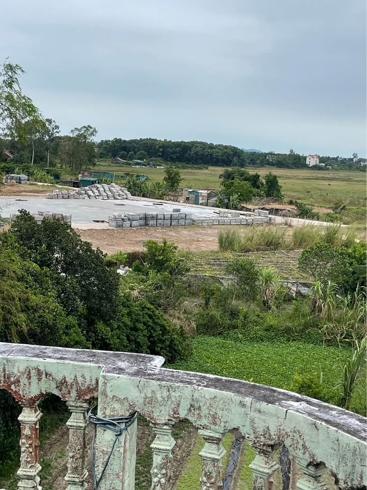 Đất nền Hải Hòa Móng Cái 280m² - Giá cả thương lượng hấp dẫn!