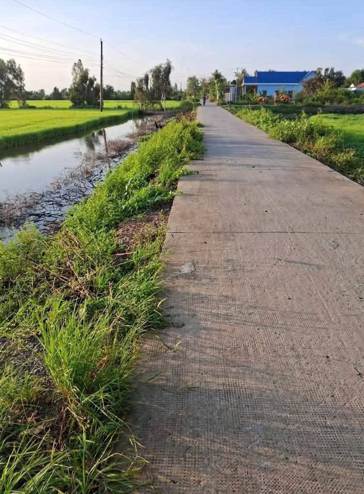 Đất lúa 3.300m² tại xã Mỹ Thạnh, huyện Thủ Thừa - Giá chỉ 957 triệu VND