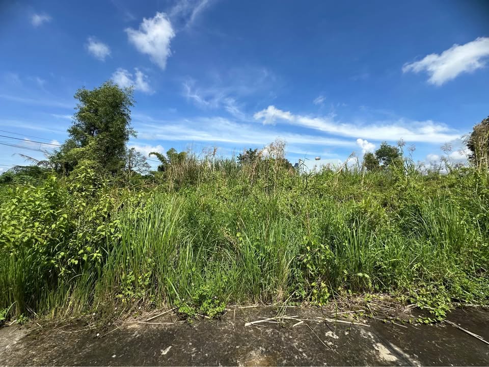 Lô đất thổ cư xã Bình Tâm, TP Tân An, Long An 173m² giá 970 triệu - Vị trí đẹp, đầu tư sinh lời!