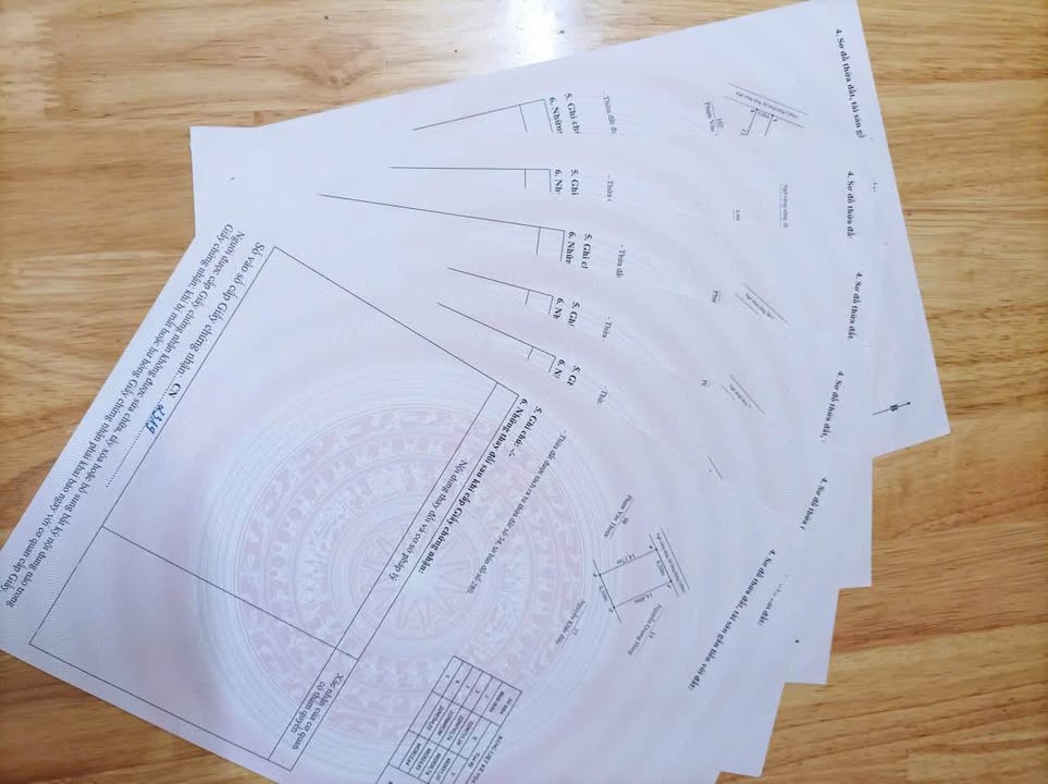 Đất nền Bàng La Đồ Sơn 55m² giá 600 triệu - Sổ đỏ chính chủ, đầu tư sinh lời!