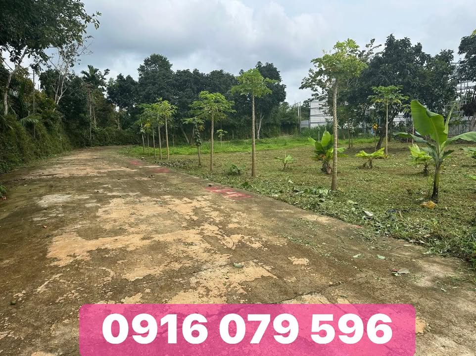 Đất thổ cư Hẻm 242 Dã Tượng, Tân An 464m² giá 3.5 tỷ - Cơ hội đầu tư tuyệt vời!