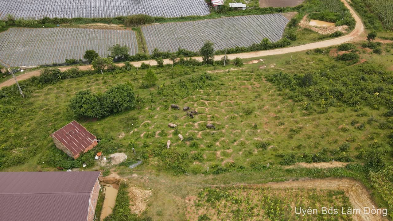 Đất nền Đơn Dương 500m² giá 3.99 tỷ - Mặt tiền đường DH16, view hồ tuyệt đẹp!