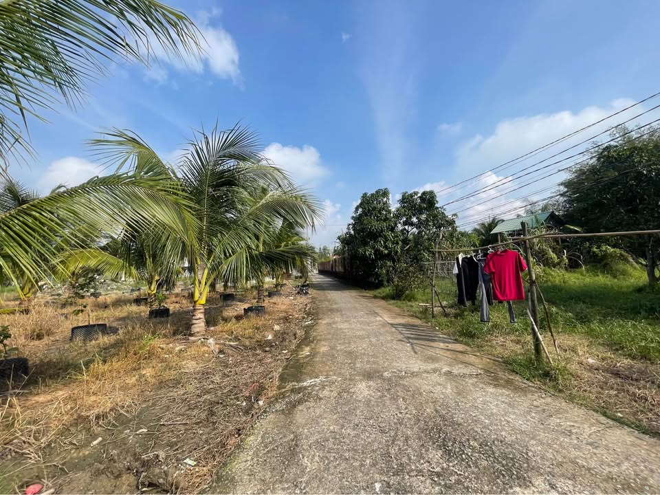 Đất thổ cư 2 nền tại Đức Hòa Đông 100m² giá 790 triệu - Vị trí đẹp, sạch sẽ!