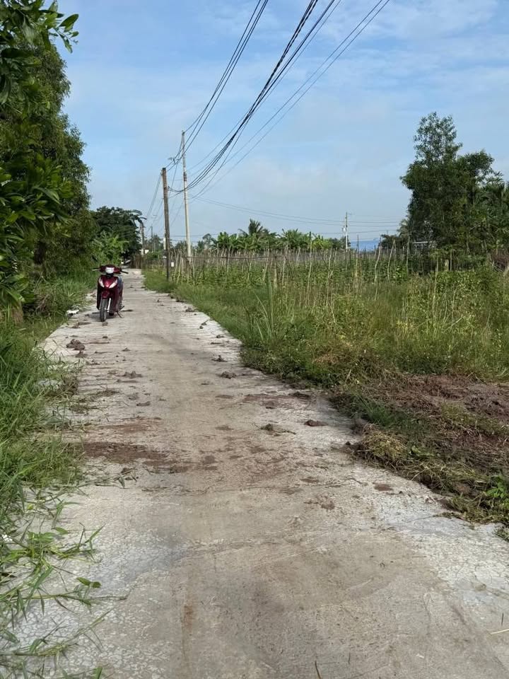 Đất lúa 3.8 công xã Vĩnh Công, Đức Hòa - Giá chỉ 2.584 tỷ - Đầu tư sinh lời ngay!