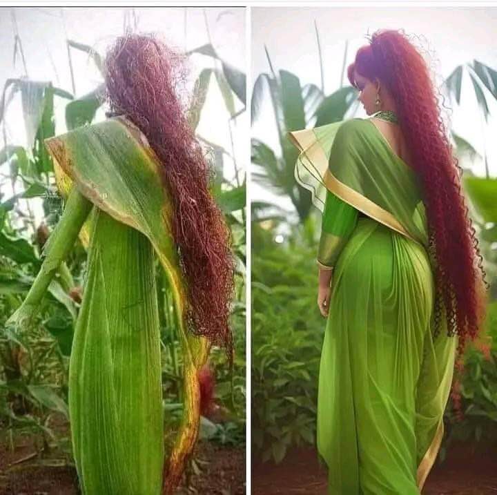 FrontHouse mặt tiền đường 19/5, Trà Vinh 221m² giá 4.5 tỷ - Vị trí đắc địa cho kinh doanh!