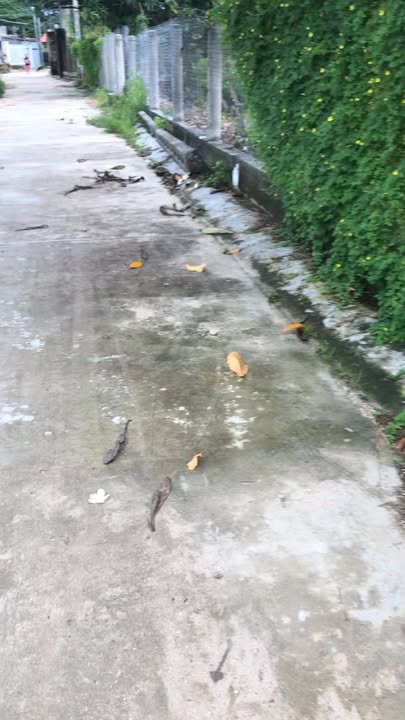 Nhà mới 100% tại thôn Trà Sơn, Cam Lâm 329m² giá 3.2 tỷ - Đậu ô tô thoải mái!