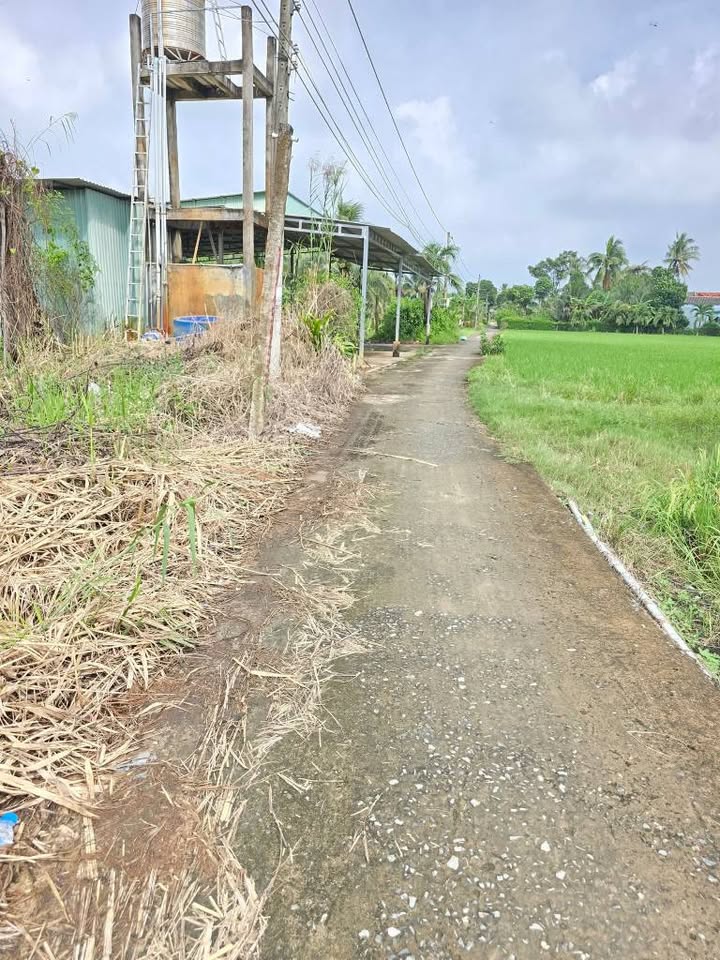 Đất nền 5x30m xã Thuận Mỹ 349 triệu - Sổ đỏ chính chủ, ô tô vào tận nơi!