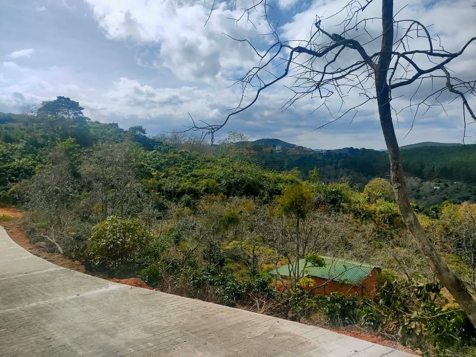 Đất nông nghiệp 6200m² tại Xuân Trường, Đà Lạt - Thích hợp đầu tư và nghỉ dưỡng!