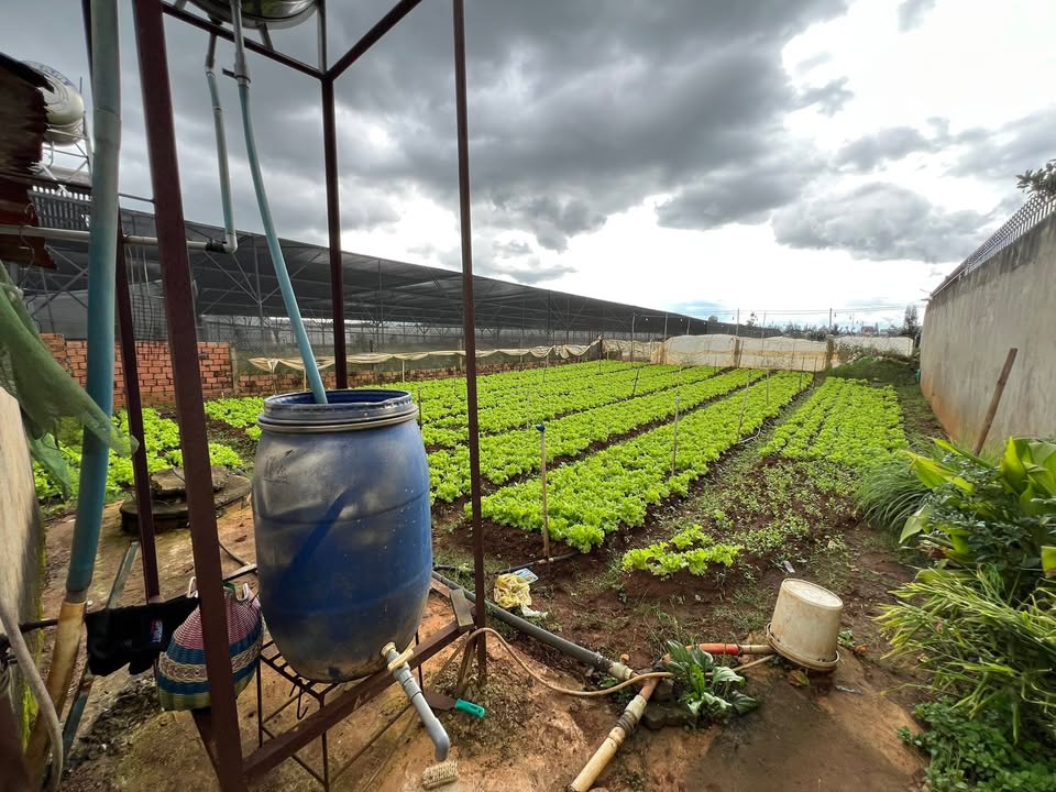 Đất ở Finom, Hiệp Thạnh, Đức Trọng 418m² - An cư lý tưởng gần chợ và sân bay