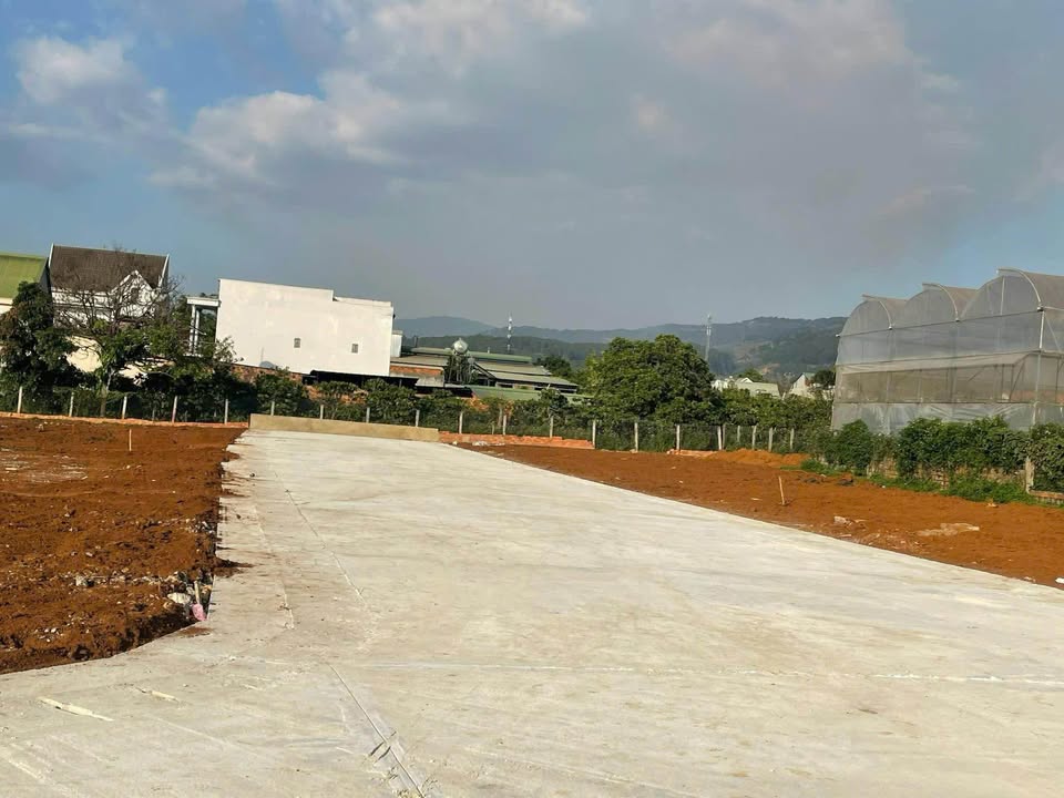 Đất nền nghỉ dưỡng đường Cam Ly Đà Lạt 200m² giá chỉ 2.5 tỷ - Cơ hội đầu tư lý tưởng!