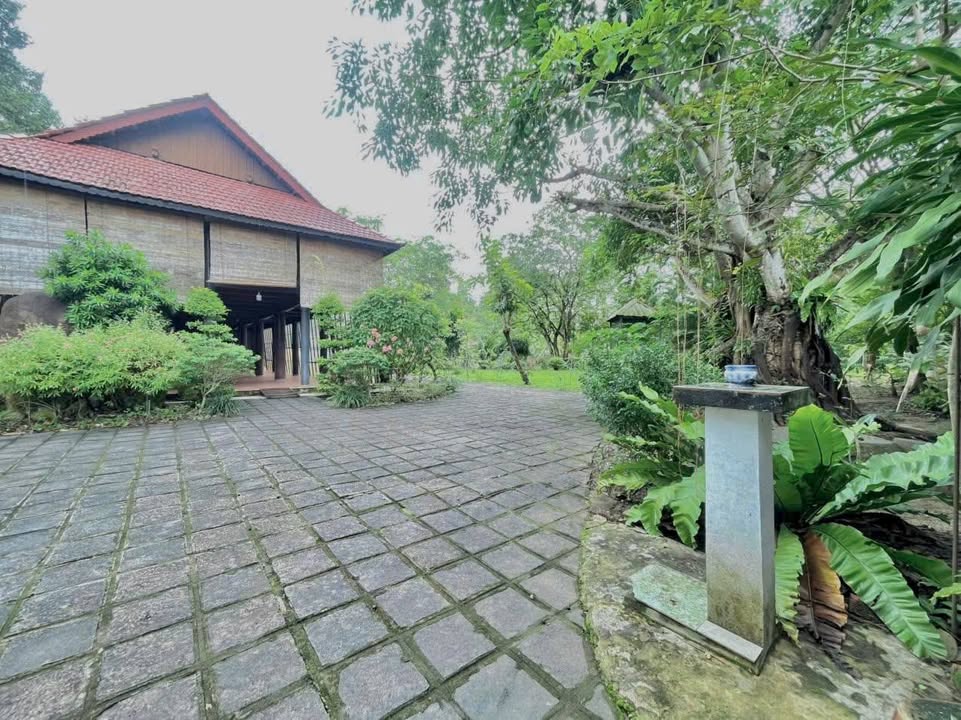 Nhà vườn nghỉ dưỡng Tân An Hội, Củ Chi 13.380m² giá 26.76 tỷ - Không gian xanh mát lý tưởng!