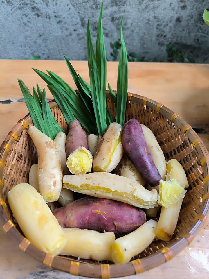 Nhà mặt tiền nhựa ấp Trung, xã Tân Thông Hội, 350m² giá 3 tỷ - Đầu tư kinh doanh sinh lời ngay!