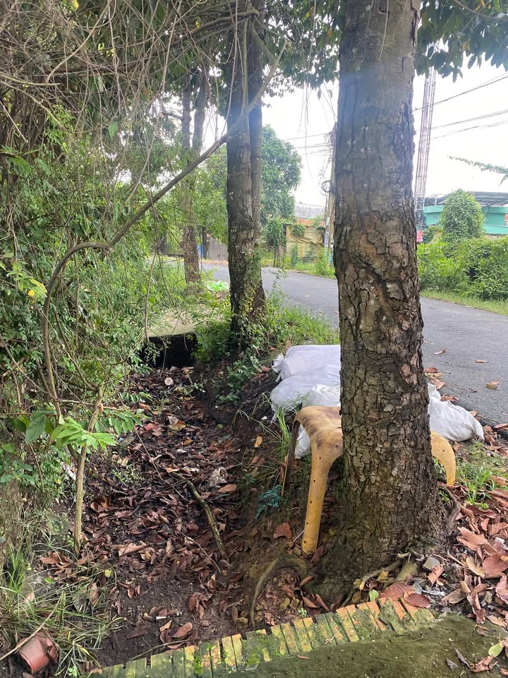 Nhà cho thuê mặt tiền ấp Trung, xã Tân Thông Hội, Củ Chi - Giá chỉ 2.5 triệu/tháng!