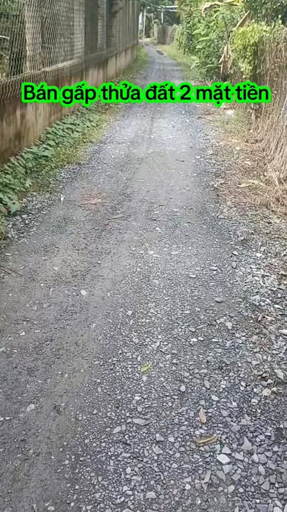 Đất thổ cư 530m² tại Cẩm Sơn, Cai Lậy - Giá chỉ 860 triệu, thương lượng!