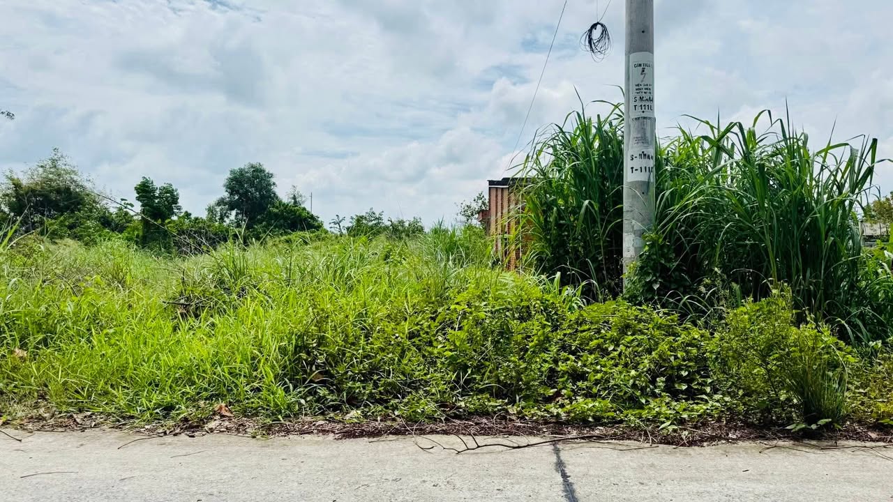 Đất thổ cư Phước Thạnh Củ Chi 220m² giá 1.7 tỷ - Xây dựng tự do!