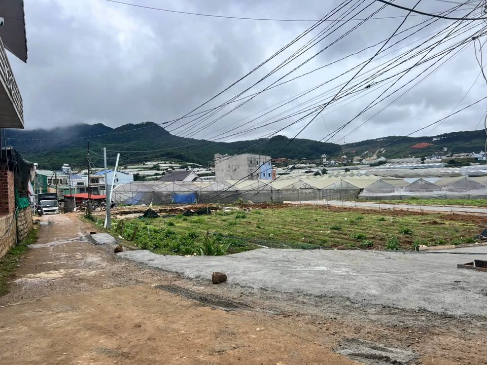 Đất nền 92,7m² phường Langbiang Đà Lạt giá chỉ 950 triệu - Đầu tư sinh lời ngay!