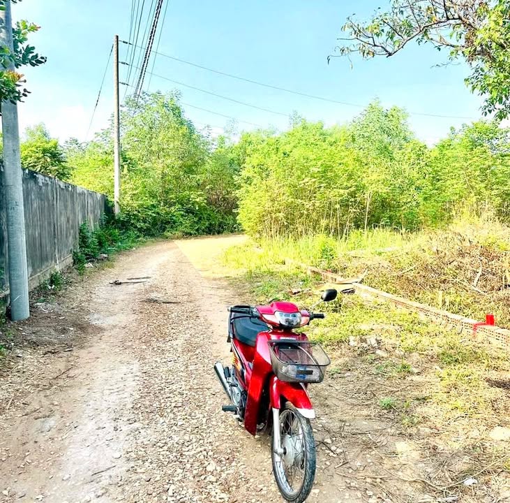 Đất 123m² tại xã Phước Thái, Long Thành giá 1 tỷ - Sổ đỏ chính chủ