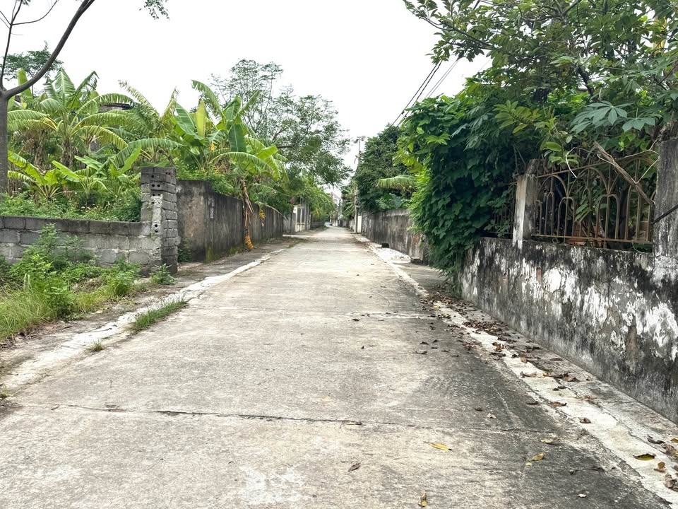 Đất nền Đông Hoàng, Tiền Hải 114m² - Đường ô tô thông tứ phía, giá thỏa thuận!