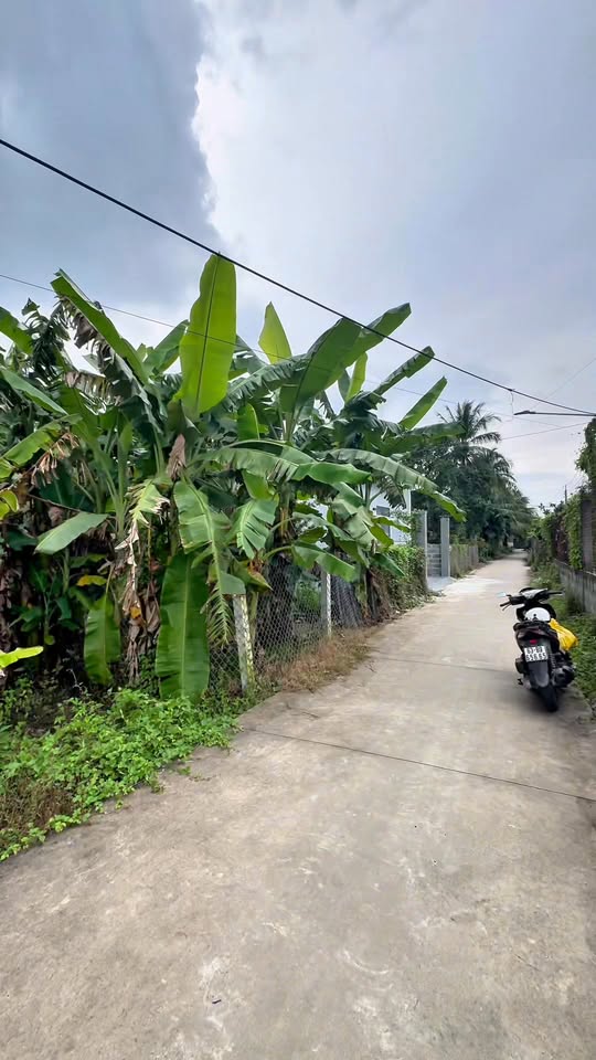 Đất thổ cư 80m² tại Đạo Thạnh, TP Mỹ Tho - Giá chỉ 700 triệu - Thương lượng ngay!