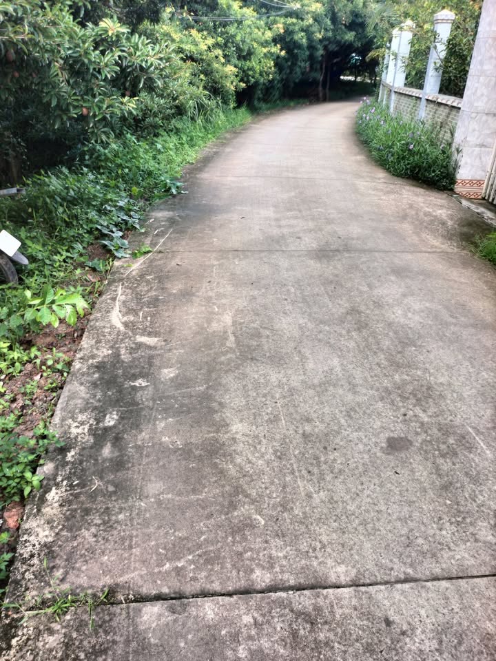 Đất nền xã Kim Sơn, Cái Bè 1000m² giá 1.2 tỷ - Cơ hội đầu tư hấp dẫn!