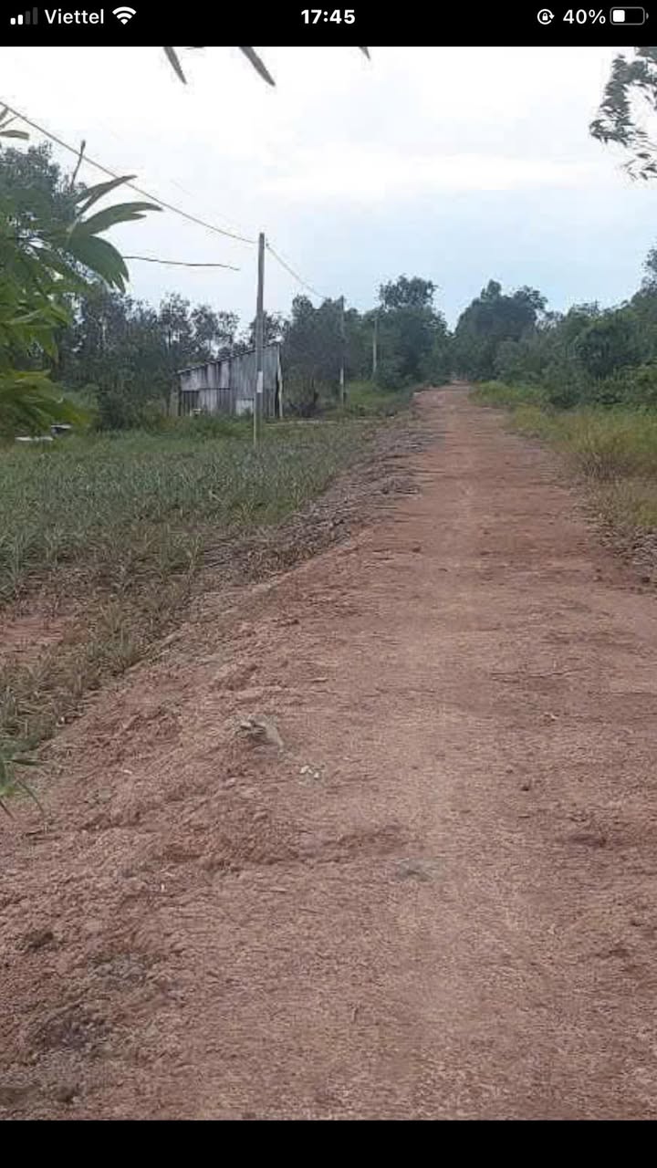 Đất nền Thạnh Mỹ, Tân Phước 30.000m² giá 7.8 tỷ - Cơ hội đầu tư tuyệt vời!