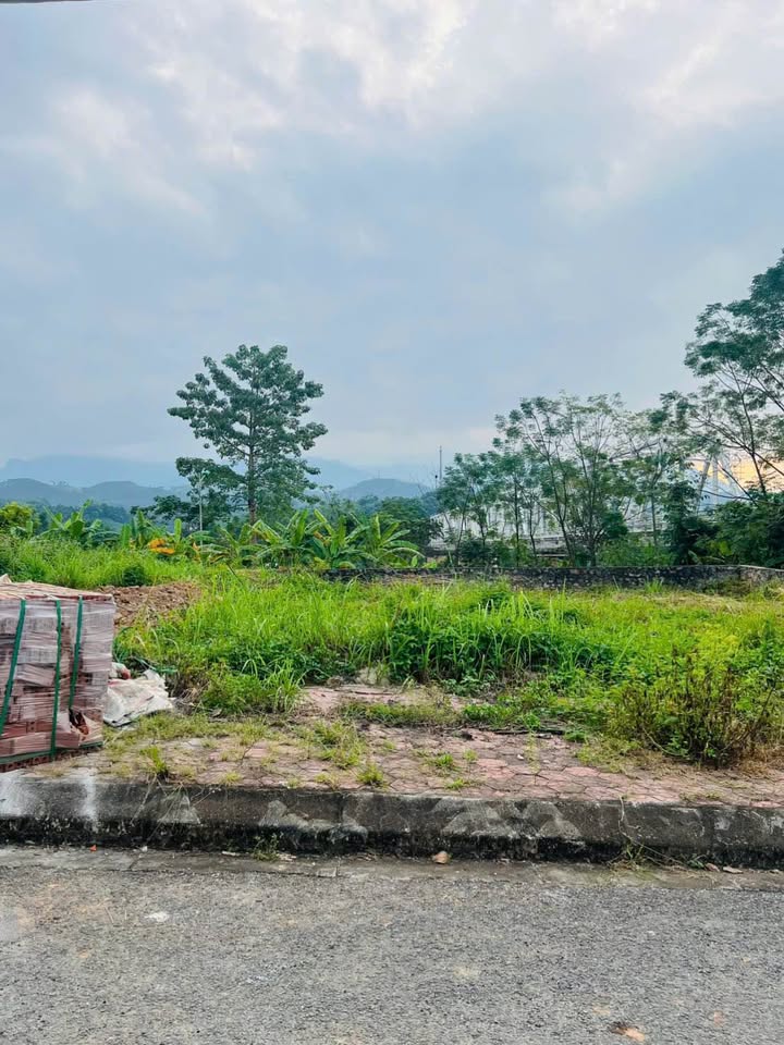 Đất nền Phố Lu Bảo Thắng 92m² giá 799 triệu - Địa điểm kinh doanh lý tưởng!