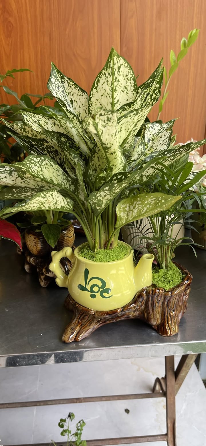 Đất nền Lai Uyên Bàu Bàng 210m² - Sổ đỏ chính chủ, đầu tư sinh lời!