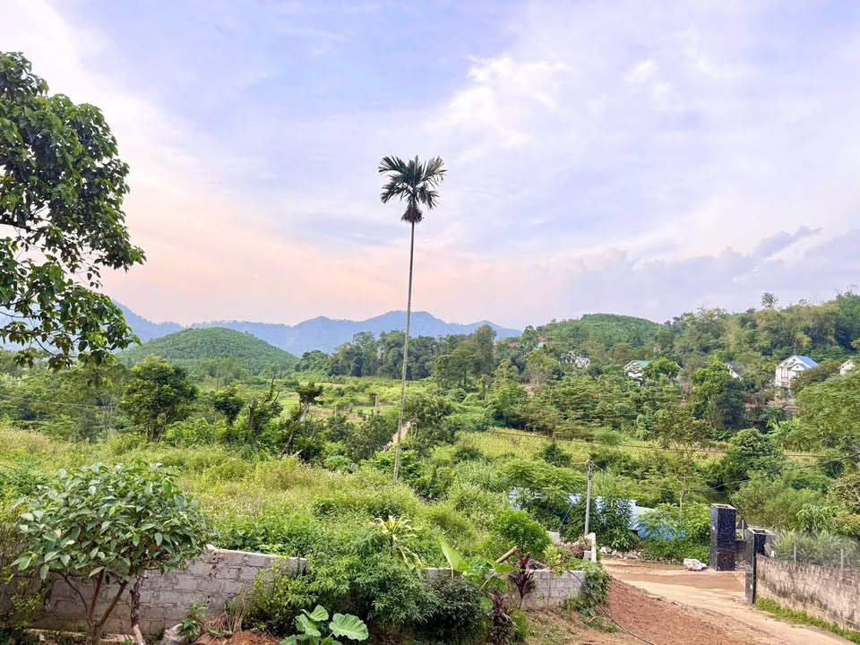 Đất thổ cư 4700m² xã Yên Xuân, Thạch Thất giá 4 tỷ - Đầu tư sinh lời hấp dẫn!