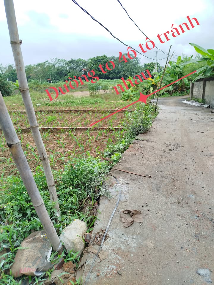 Đất thổ cư mặt tiền 6m tại Tam Sơn, Lập Thạch - Diện tích 100m², giá thỏa thuận!