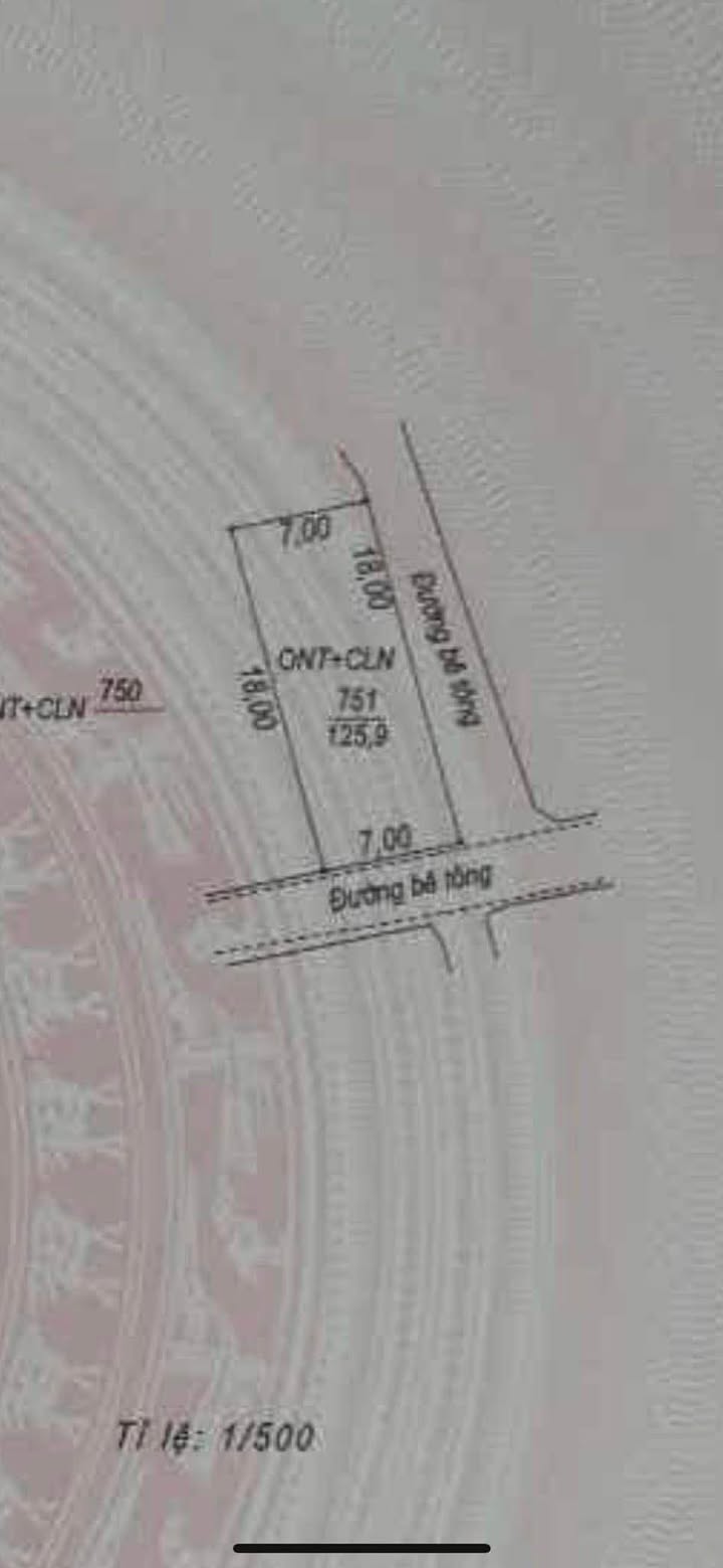 Nhà bán tại Đức Ninh, Đồng Hới 126m² giá 1.35 tỷ - Sổ hồng chính chủ!