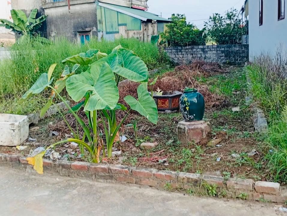 Lô đất Phú Mỹ – Thư Phú – Thường Tín 72m² giá 3.187 tỷ - Đầu tư sinh lời tiềm năng!