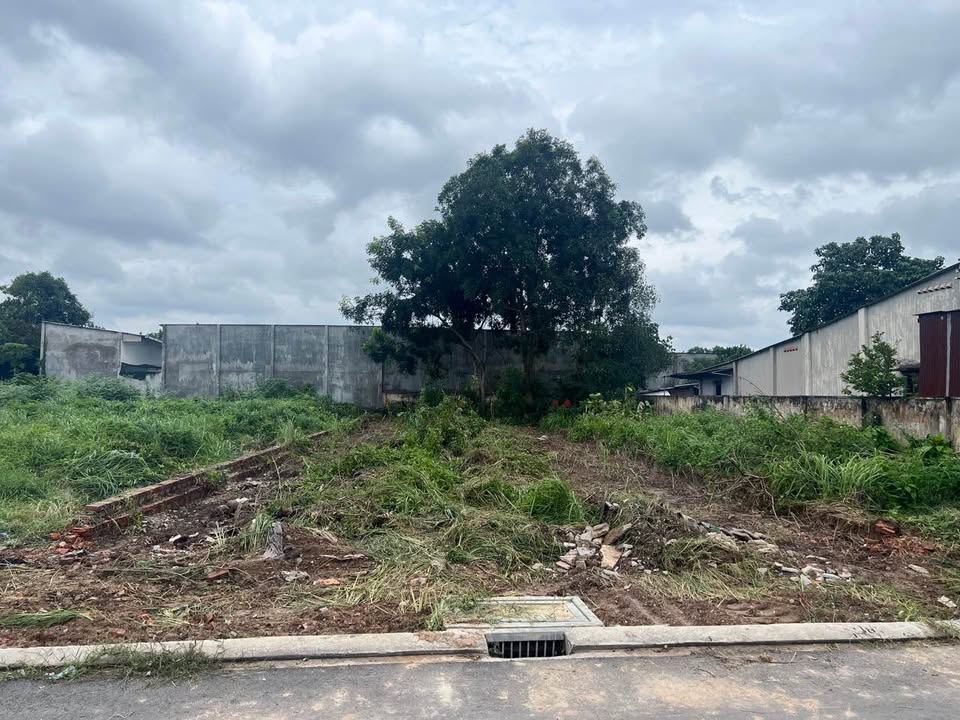 Đất nền chính chủ Tân Uyên 235m² giá 2 tỷ - Đối diện văn phòng công chứng