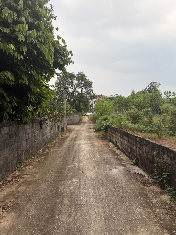 Đất nền Cẩm Lĩnh, Ba Vì 367m² giá chỉ 1,x tỷ - Cơ hội đầu tư tuyệt vời!