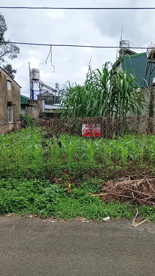 Đất thổ cư Bảo Lộc 192m² giá 2.2 tỷ - Vị trí đắc địa, ô tô vào tận nơi!