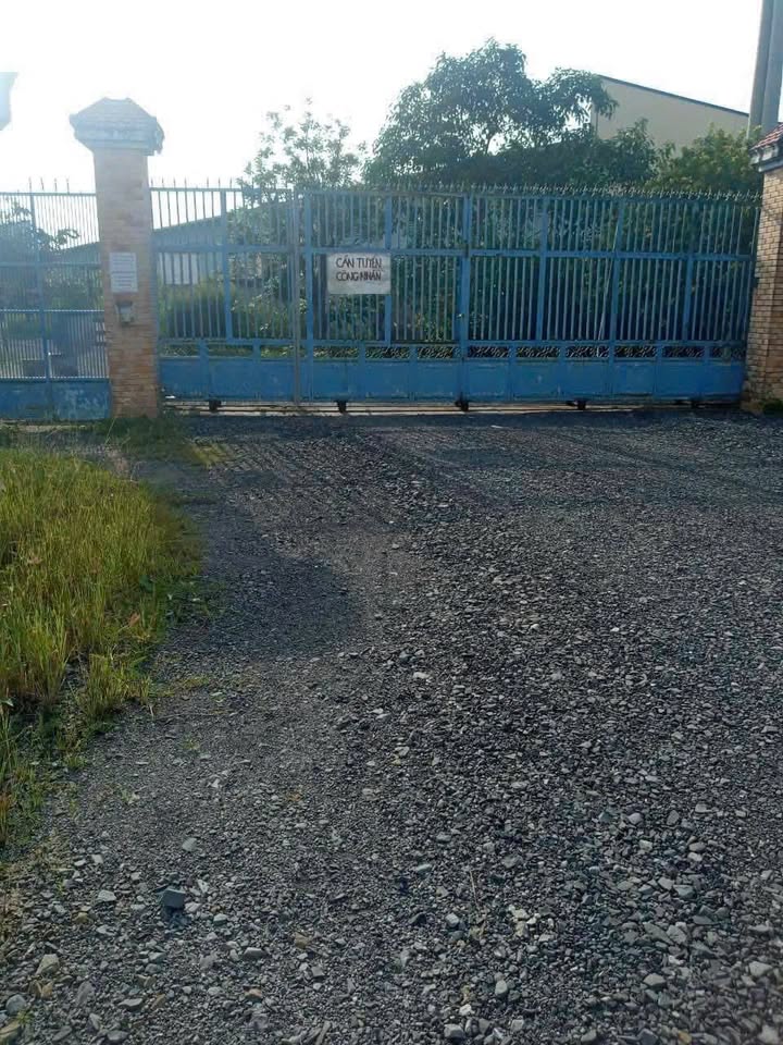 Bán đất sản xuất kinh doanh mặt tiền Tỉnh lộ 830, Long An 21.526m² - Đầu tư sinh lời ngay!