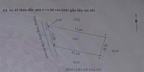 Đất thổ cư 300m² tại xã Phước Lợi, Bến Lức - Giá 2,5 tỷ, chính chủ bán!