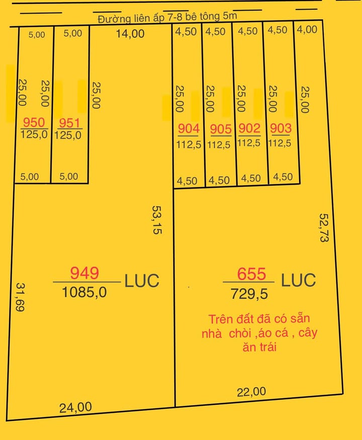 Đất thổ cư 700m² tại Nhựt Chánh, Bến Lức - Giá 9 tỷ - Cơ hội đầu tư tuyệt vời!