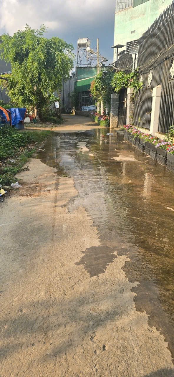 Đất nền Hẻm 49 đường Trần Phú Liên Nghĩa 464m² giá 5 tỷ - Sổ đỏ chính chủ!