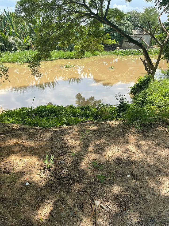 Đất nông nghiệp 10.000m² xã Phú Hiệp, Tam Nông - Giá chỉ 1.25 tỷ, mặt tiền 41m kênh lớn!