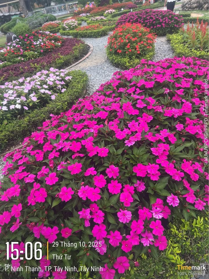 Đất nền 511m² tại Suối Bình, Đồng Tiến, Đồng Phú - Chỉ 600 triệu, bán gấp!