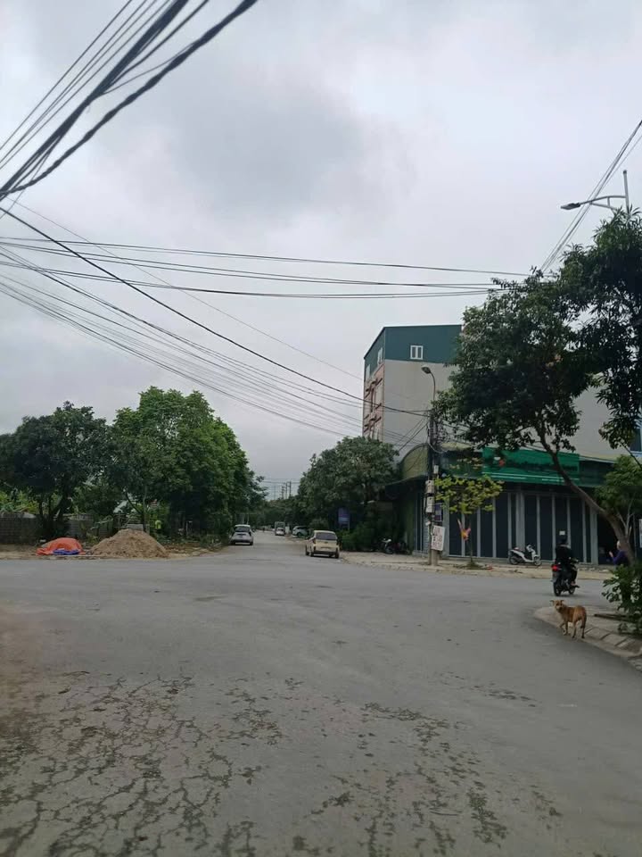 Lô đất đẹp tại Quảng Hưng, TP Thanh Hóa 90m² - Sổ đỏ chính chủ, hướng Tây phong thủy!