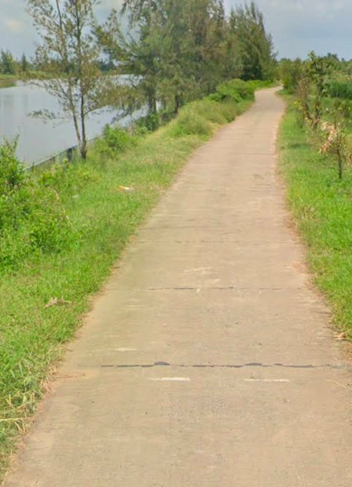 Đất ruộng xã Phú Ngãi, Ba Tri, Bến Tre 5800m² giá 928 triệu - Sẵn sàng đầu tư!