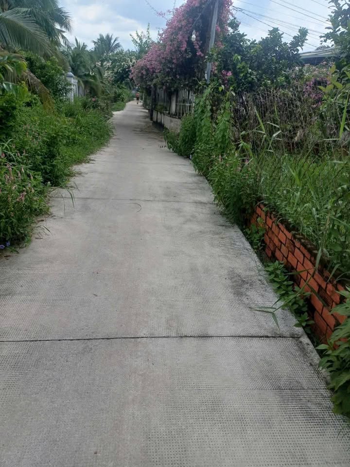 Đất vườn Tam Phước, Bến Tre 8100m² giá 900 triệu - Cơ hội đầu tư tuyệt vời!