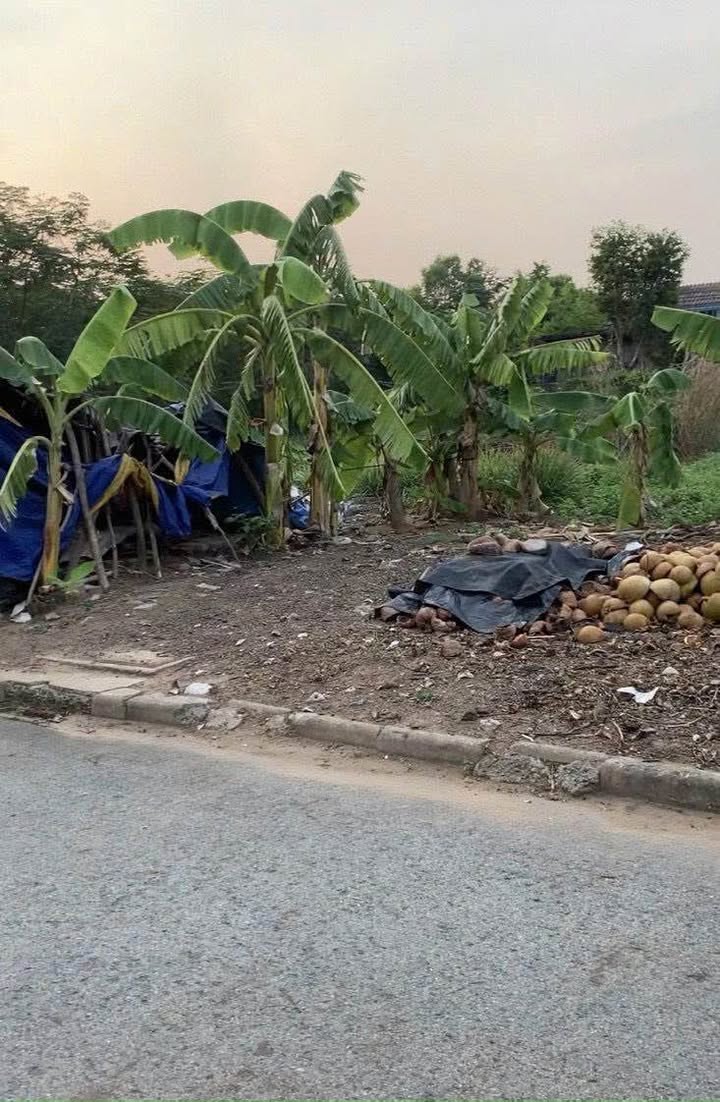 Đất nền thổ cư An Thạnh, Bến Lức 80m² giá chỉ 1.67 tỷ - Đầu tư sinh lời ngay!