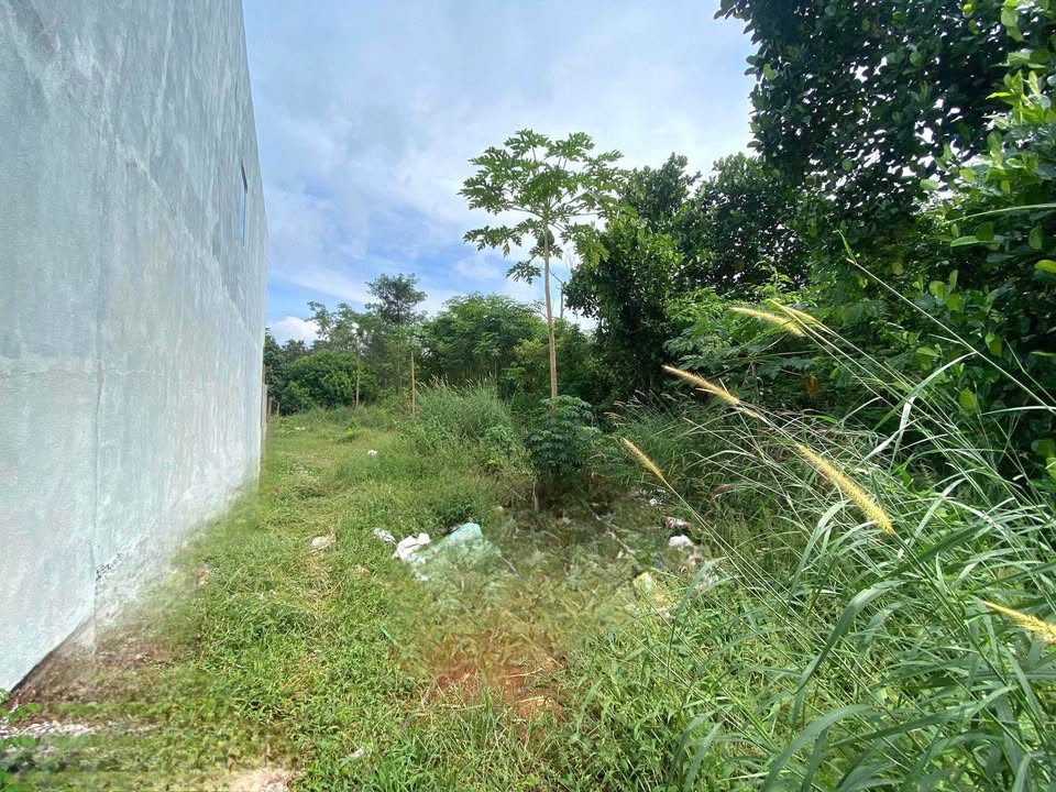 Đất nền mặt tiền Lạc Long Quân, Thị trấn Ngãi Giao, 700m² giá 2.4 tỷ - Cơ hội đầu tư lý tưởng!