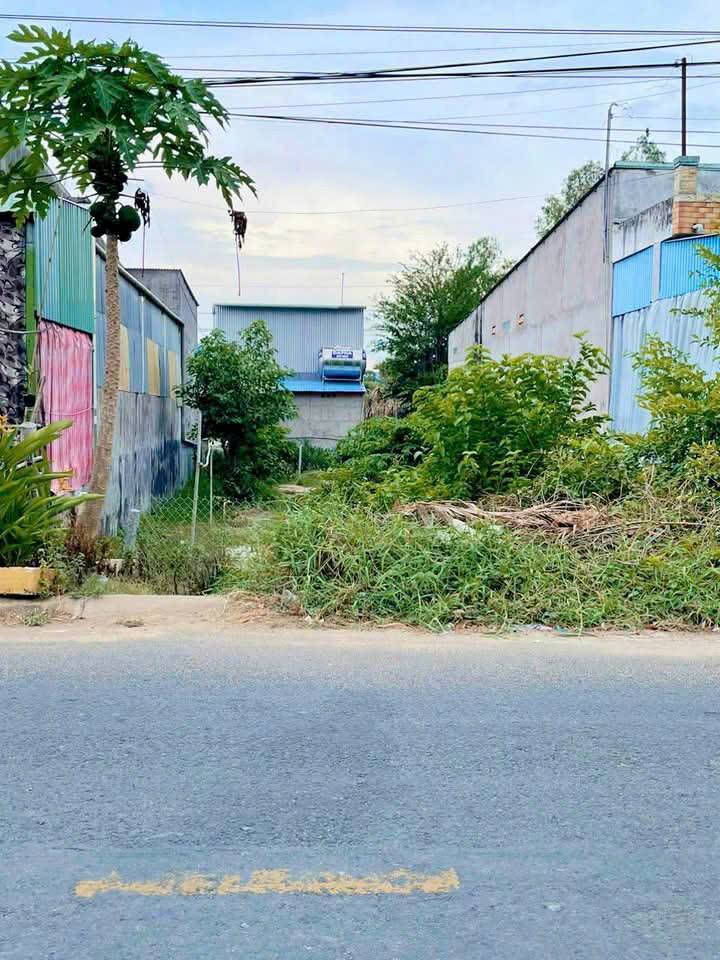 Đất nền Tỉnh lộ 955A, phường Tịnh Biên, 165m² giá 900 triệu - Cơ hội đầu tư hấp dẫn!