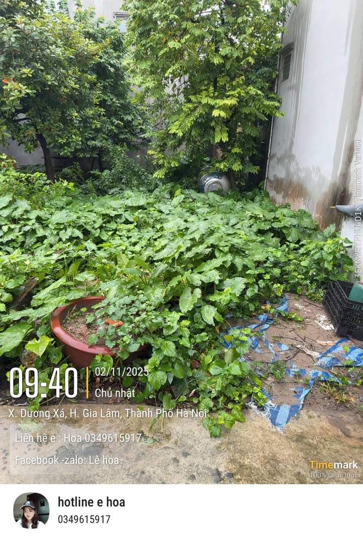 Đất nền Dương Xá, Gia Lâm 55m² giá 4.2 tỷ - Vị trí đẹp gần hồ