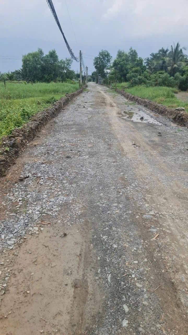 Đất thổ cư 171m² đường Phạm Văn Chính, Cần Đước - Giá chỉ 700 triệu